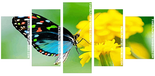 Blue And Black Butterfly With Colorful Green Panels paint by numbers