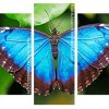 Blue Butterfly Insect panel paint by numbers