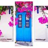 Blue Door With Flowers Panels paint by numbers