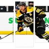 Boston Bruins ice hockey player Panels paint by numbers