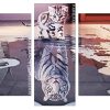 Cat With Tiger Reflection panels paint by numbers