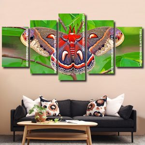 Cecropia Moth Butterfly panels paint by numbers