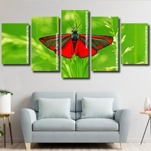 Cinnabar Moth Butterfly panels paint by numbers