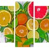 Citrus Fruit panel paint by numbers