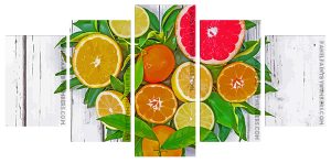 Citrus Fruit panel paint by numbers