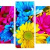 Colorful Daisies panels paint by numbers