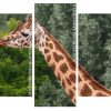 Cute Giraffe panels paint by numbers