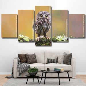 Cute Owl Bird panels paint by numbers