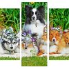 Cute Sheepdogs Puppies panels paint by numbers