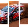 Desert Rally Race Panels paint by numbers