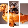 Doxie Daschsund Dogs Panel paint by numbers