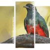 Eared Quetzal panels paint by numbers