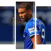 Everton Dominic Calvert Lewin panels paint by numbers