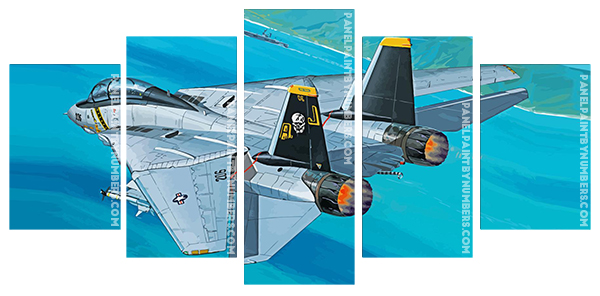 F 14 Tomcat Aircraft Panels paint by numbers