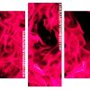 Fuchsia Flames Panels paint by numbers