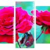 Fuchsia Floribunda flowers Panels paint by numbers