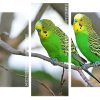 Green Budgerigars panels paint by numbers