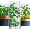 Green Plant Pots panels paint by numbers