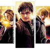 Harry Potter Hermione Granger and Ron Weasley Panels paint by numbers