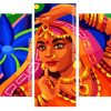 Indian Woman panels paint by numbers