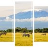 Kilimandjaro Tanzania panels paint by numbers