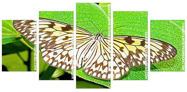 Large tree nymph Butterfly On Plant Panels paint by numbers