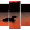 Loon Bird Silhouette panels paint by numbers