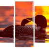 Loons At Sunset panels paint by numbers