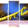 Mantis Insect panels paint by numbers