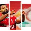 Mohamed Salah panel paint by numbers