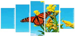 Monarch Butterfly On Yellow Flowers Panel paint by numbers