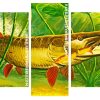 Musky Fish Underwater panels paint by numbers