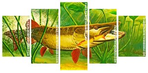 Musky Fish Underwater panels paint by numbers