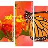 Orange Butterfly panels paint by numbers