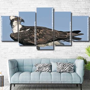 Osprey Bird Animal panels paint by numbers