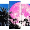 Pink Full Moonlight panels paint by numbers