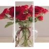 Red Roses Glass vase Panels paint by numbers