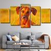 Rhodesian Ridgeback face Panel paint by numbers