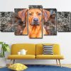 Rhodesian Ridgeback head Panel paint by numbers