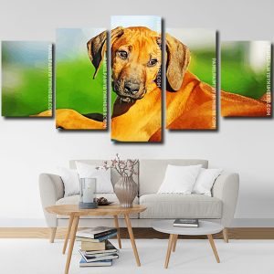 Rhodesian Ridgeback puppy animal Panel paint by numbers