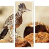 Roadrunner Bird Panel paint by numbers