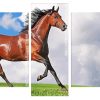 Running Horse Panels paint by numbers