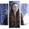 Sansa Stark panels paint by numbers