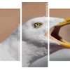 Seagull Bird Head panels paint by numbers