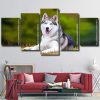 Siberian Husky panels paint by numbers