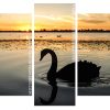 Swan Bird Silhouette panels paint by numbers