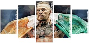 UFC Mcgregor With Irish Flag Panel paint by numbers