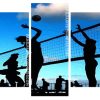 Volleyball Players Silhouette Panels paint by numbers