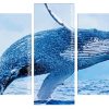 Whale Jumping panels paint by numbers