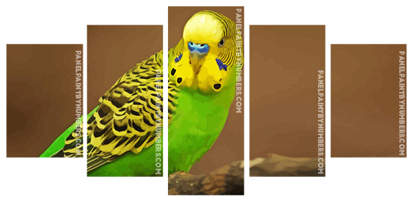 Yellow Head Parakeet Budgerigar paint by numbers